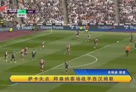 包含苏宁继续保持不败，客场战平延边富德的词条